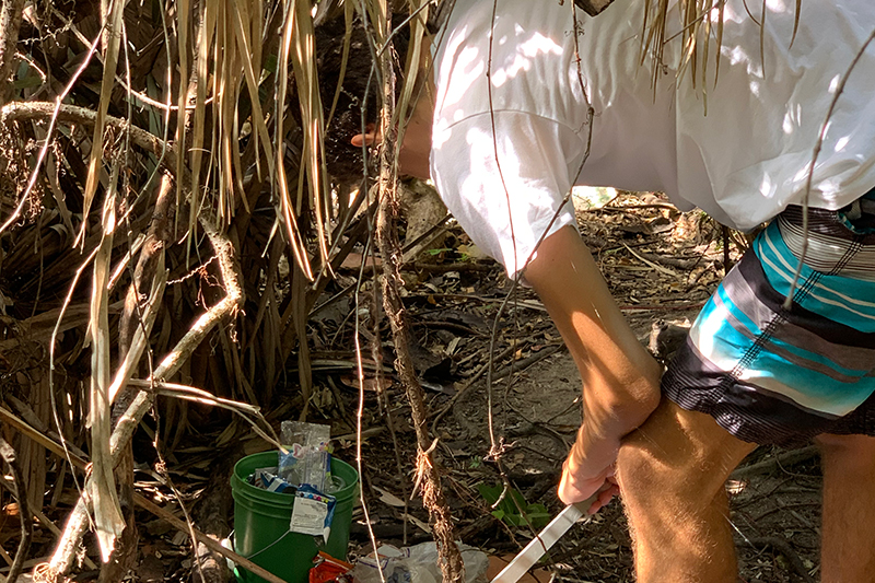 Beach clean-up